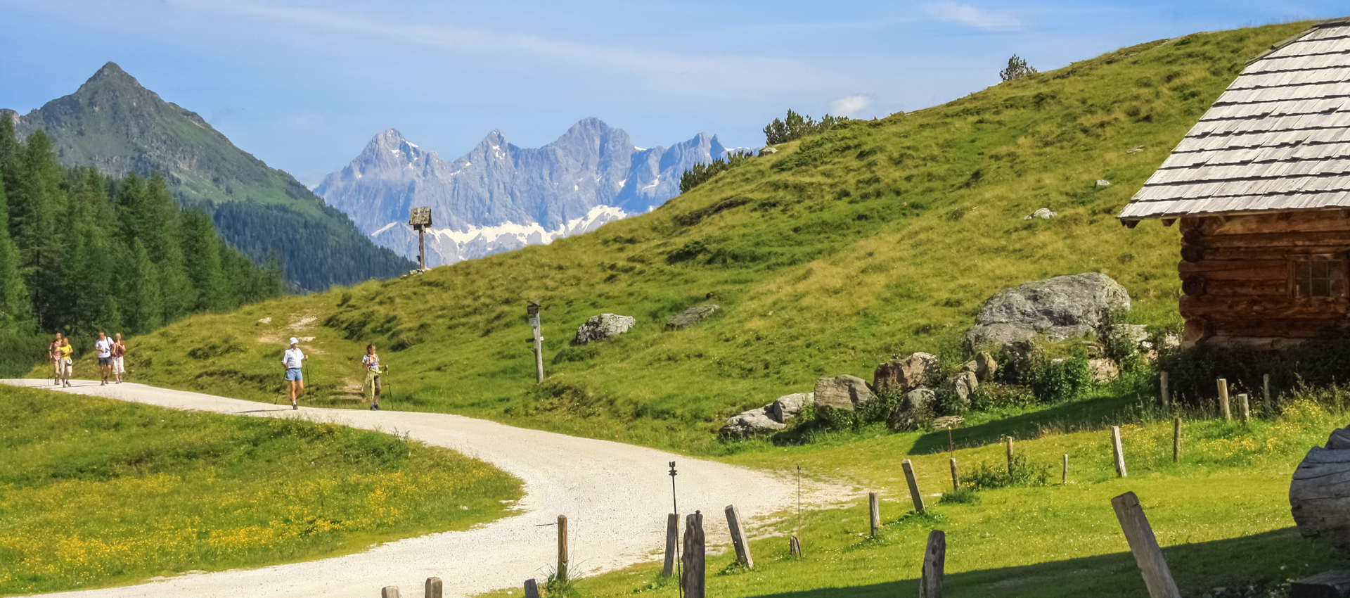 Radfahren und Wandern in den Bergen auf der Alm